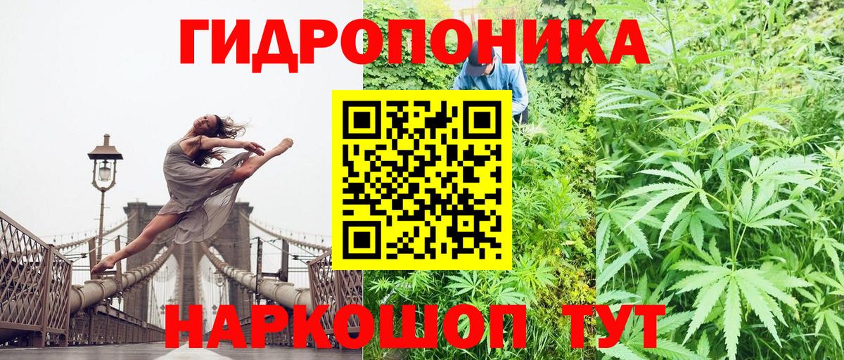 МАРИХУАНА сатива Нягань